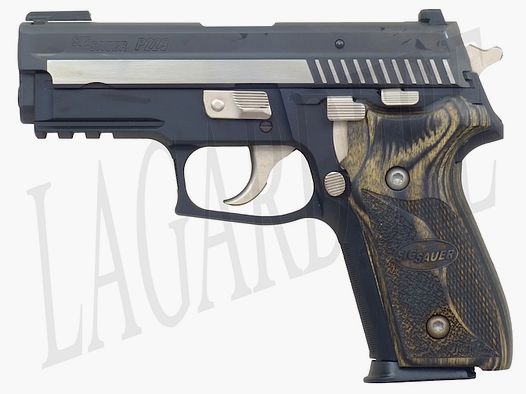 SIG-SAUER P229 EQUINOX (PISTOLE)