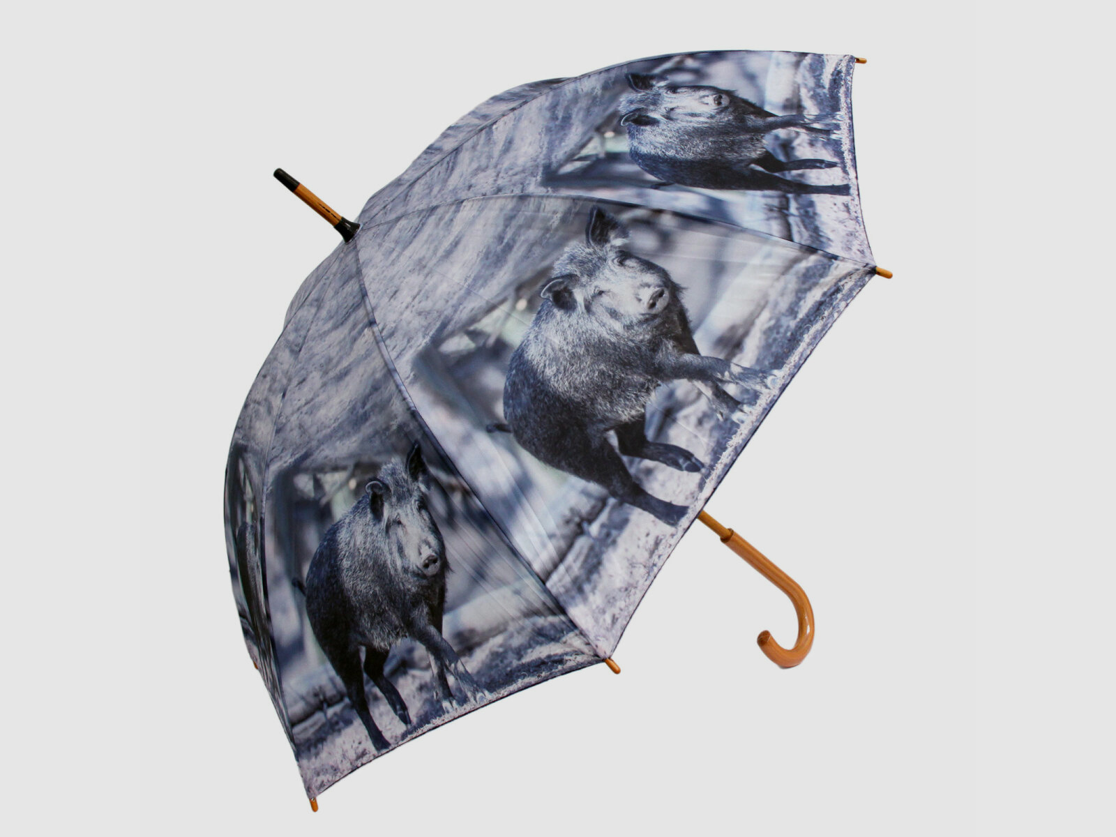 Regenschirm Sauen