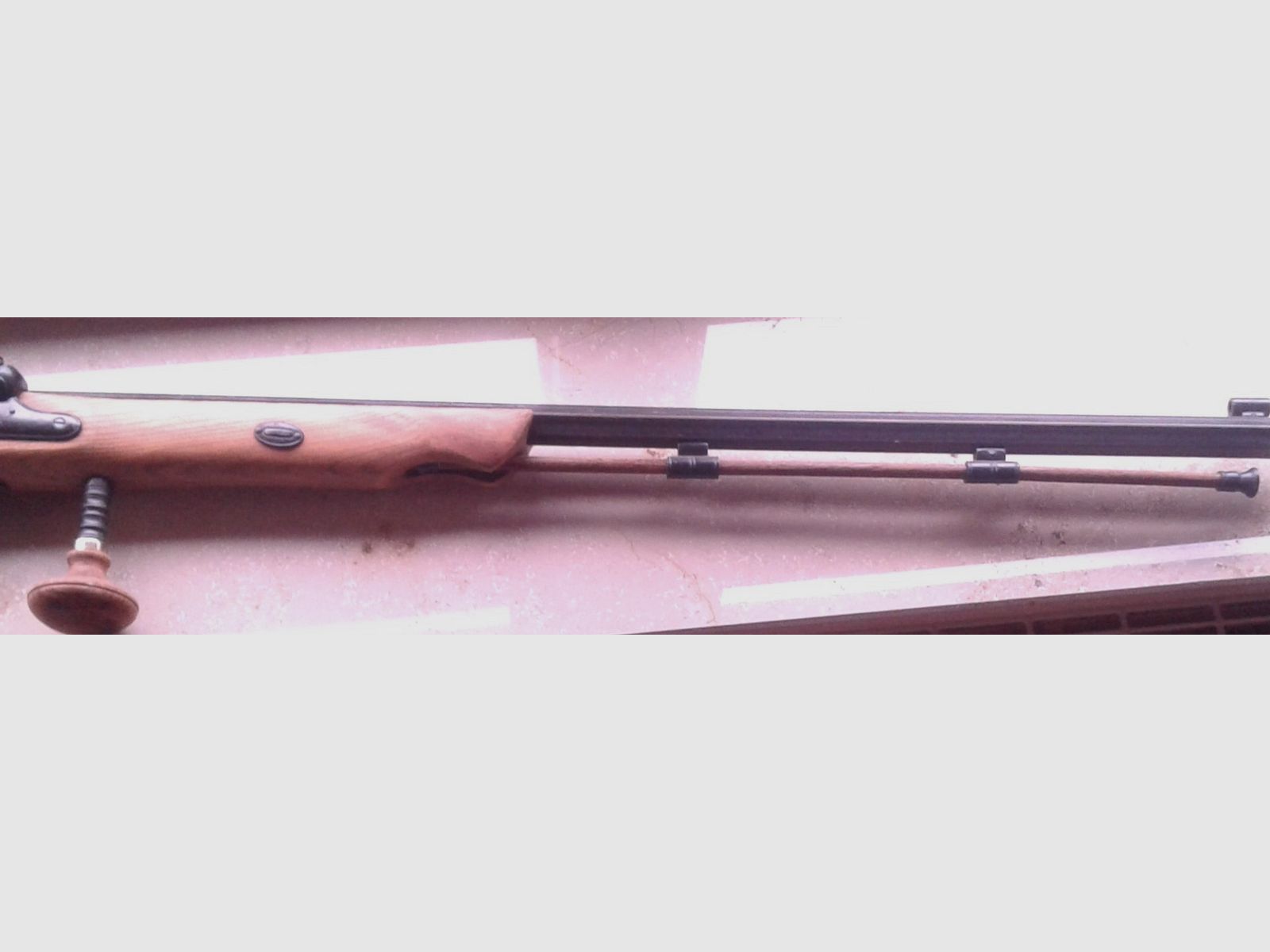 Décoration arme avec 2 supports muraux tête de cerf