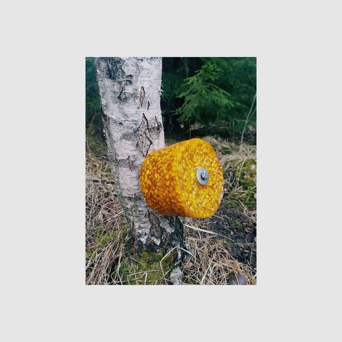 WILDLUTSCHER Special Licksteen "Zoete Maïs"