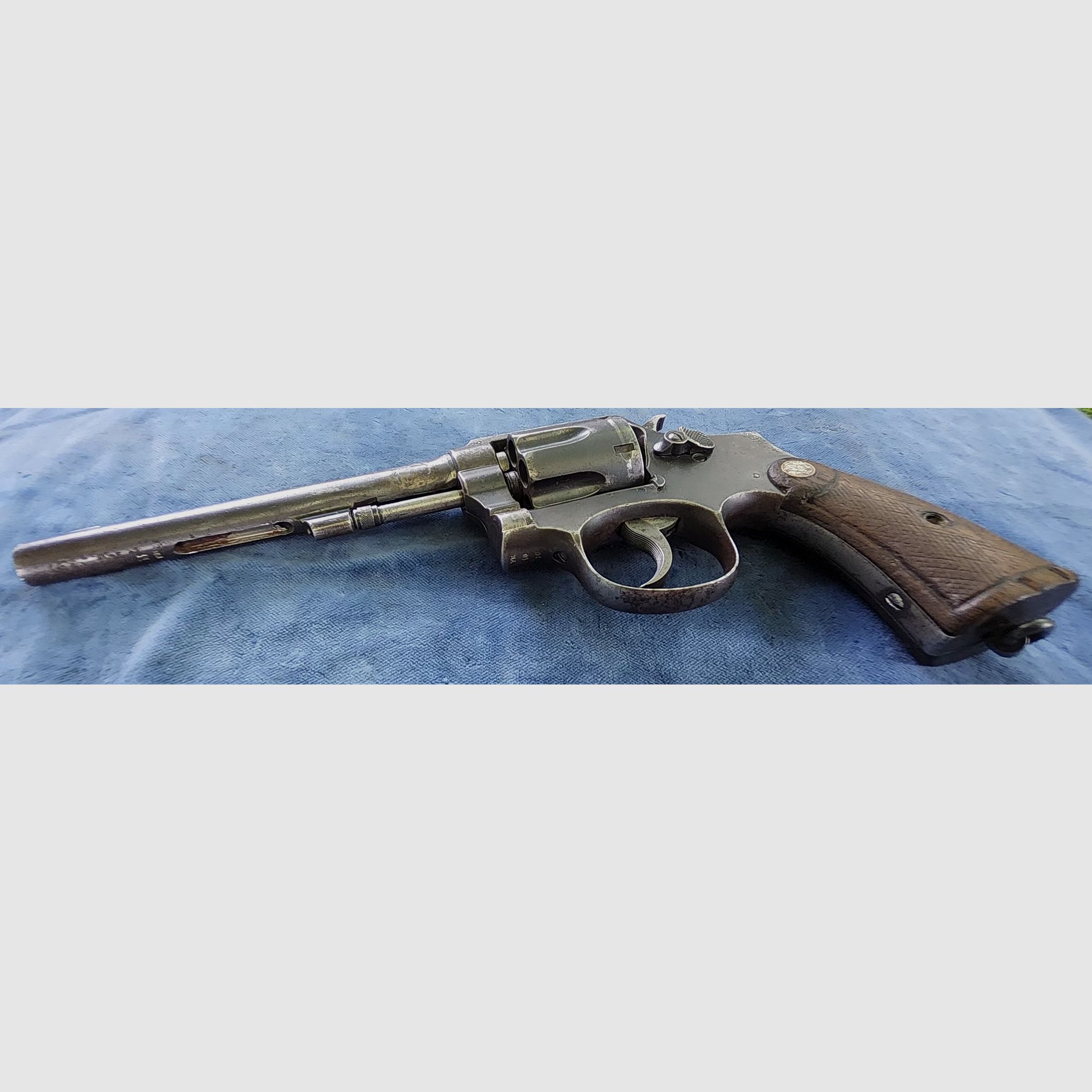 Smith & Wesson M&P (neutralisé), image 4 sur 9