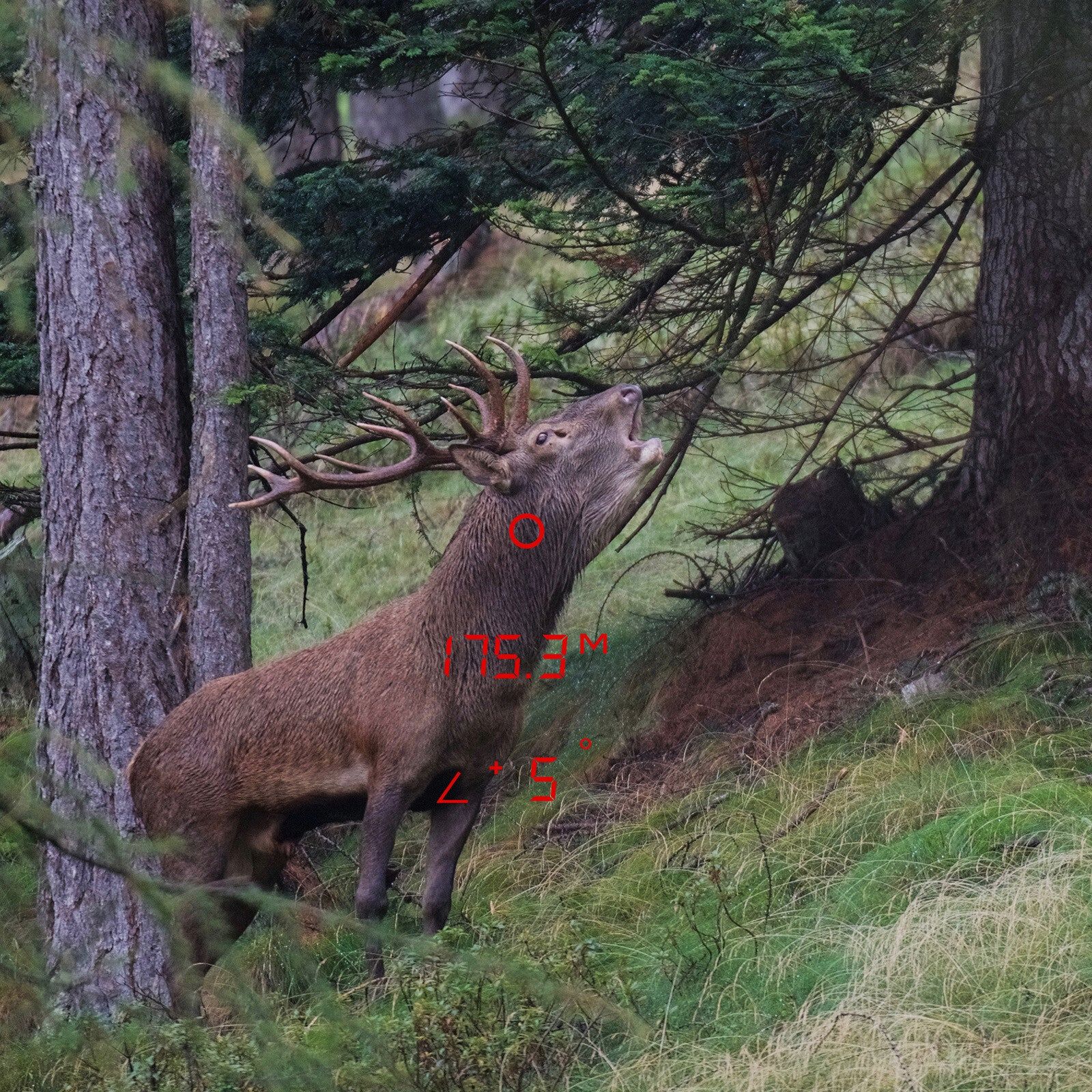 GPO Rangeguide™ 2800 8x32 Entfernungsmesser