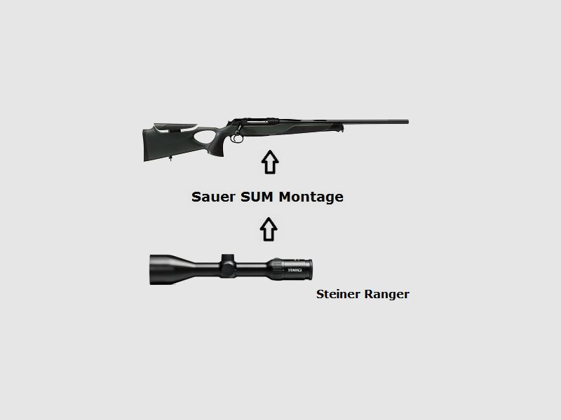 Sauer 404 Synchro XT + Steiner Ranger + Montage + ... Komplettpaket