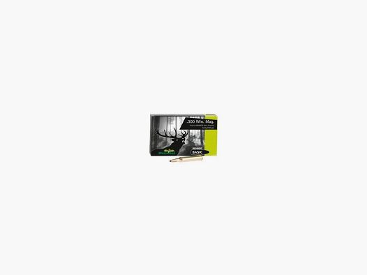 AMUNICJA BRENNEKE .300 WIN MAG BASIC