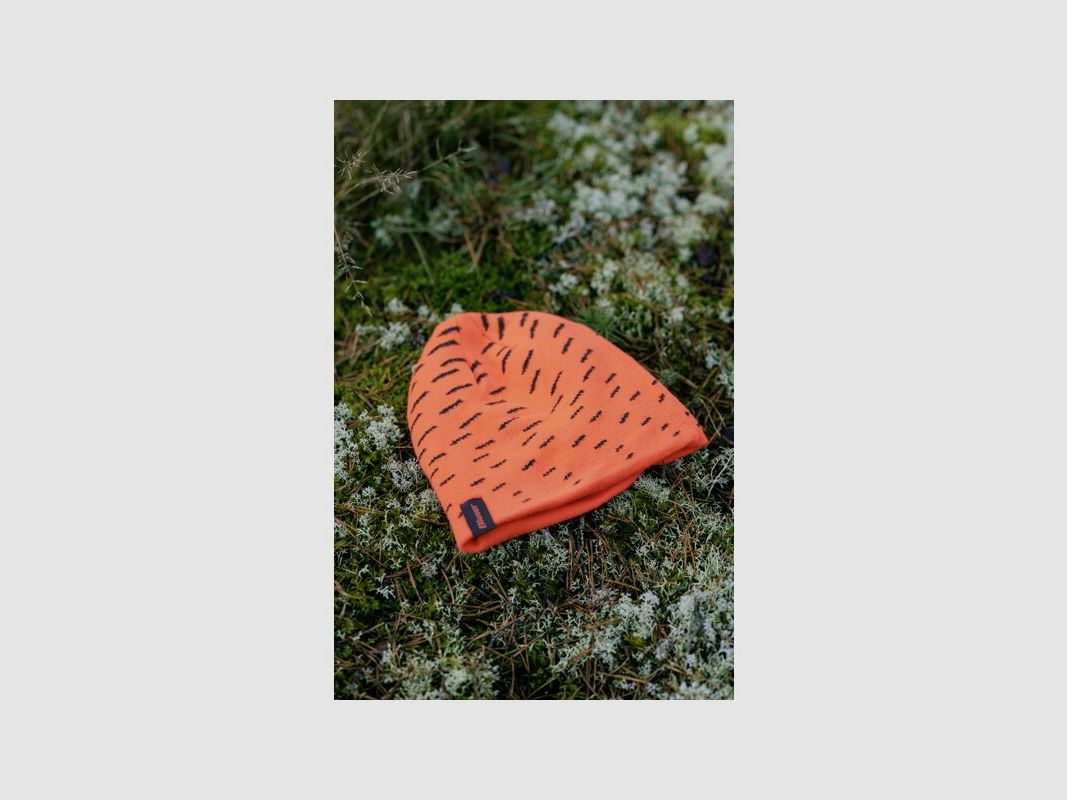 Blaser Turn Beanie Argali