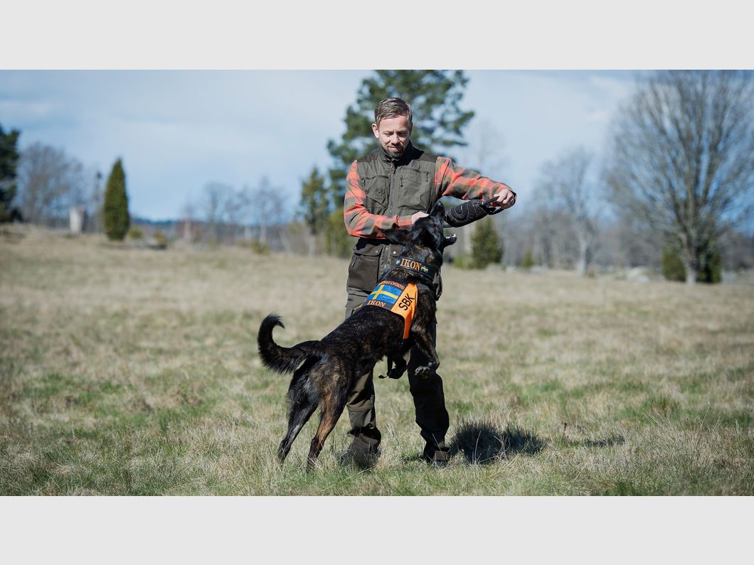 Pinewood New Dogsport Weste D.Anthrazit/Schwarz M