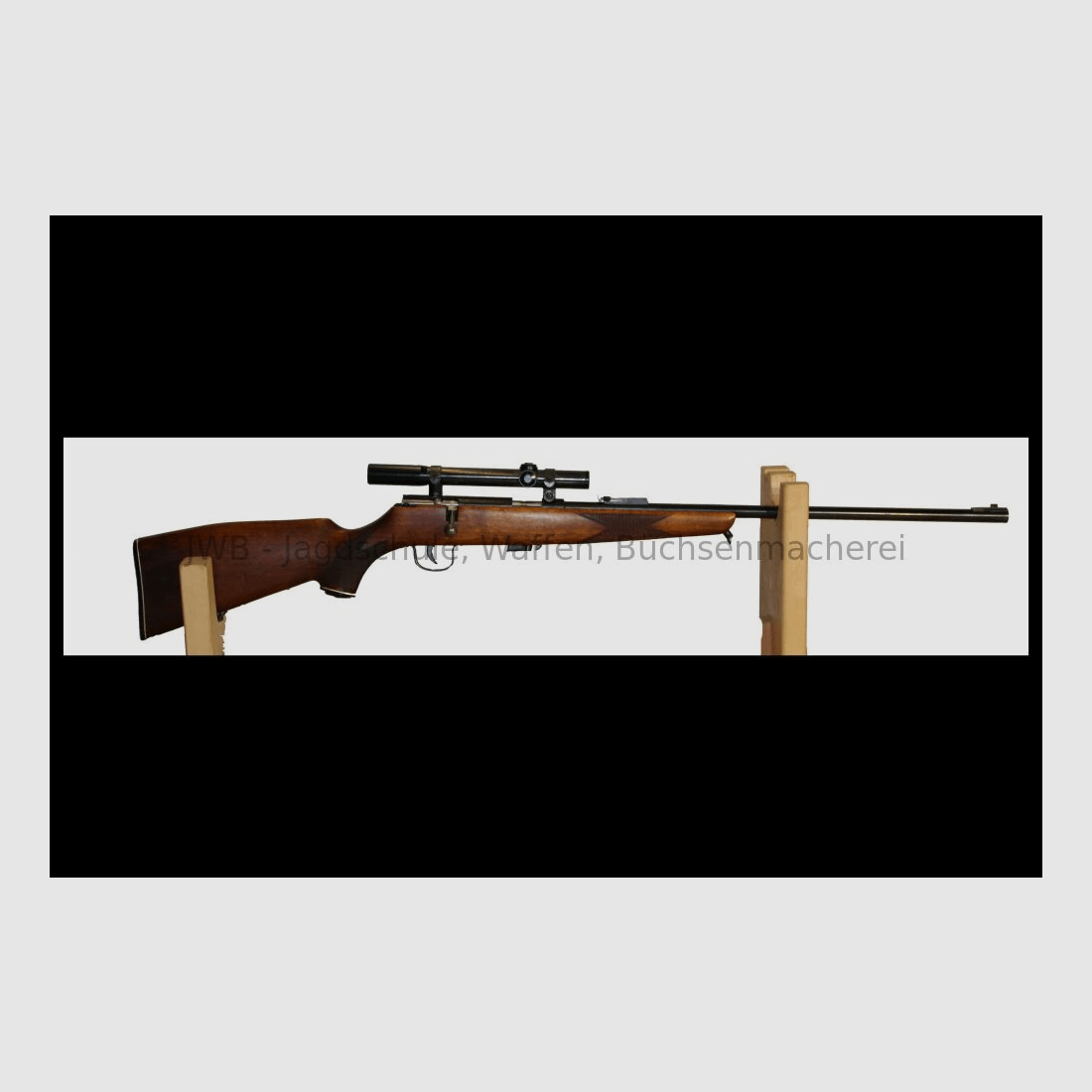 Repeater rifle with .22lr cartridges