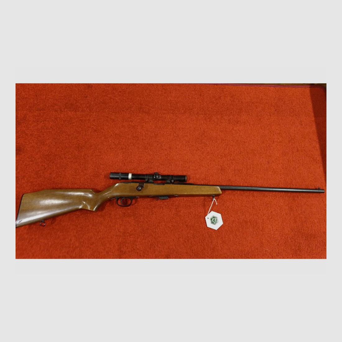 Savage Model 845 .22lr