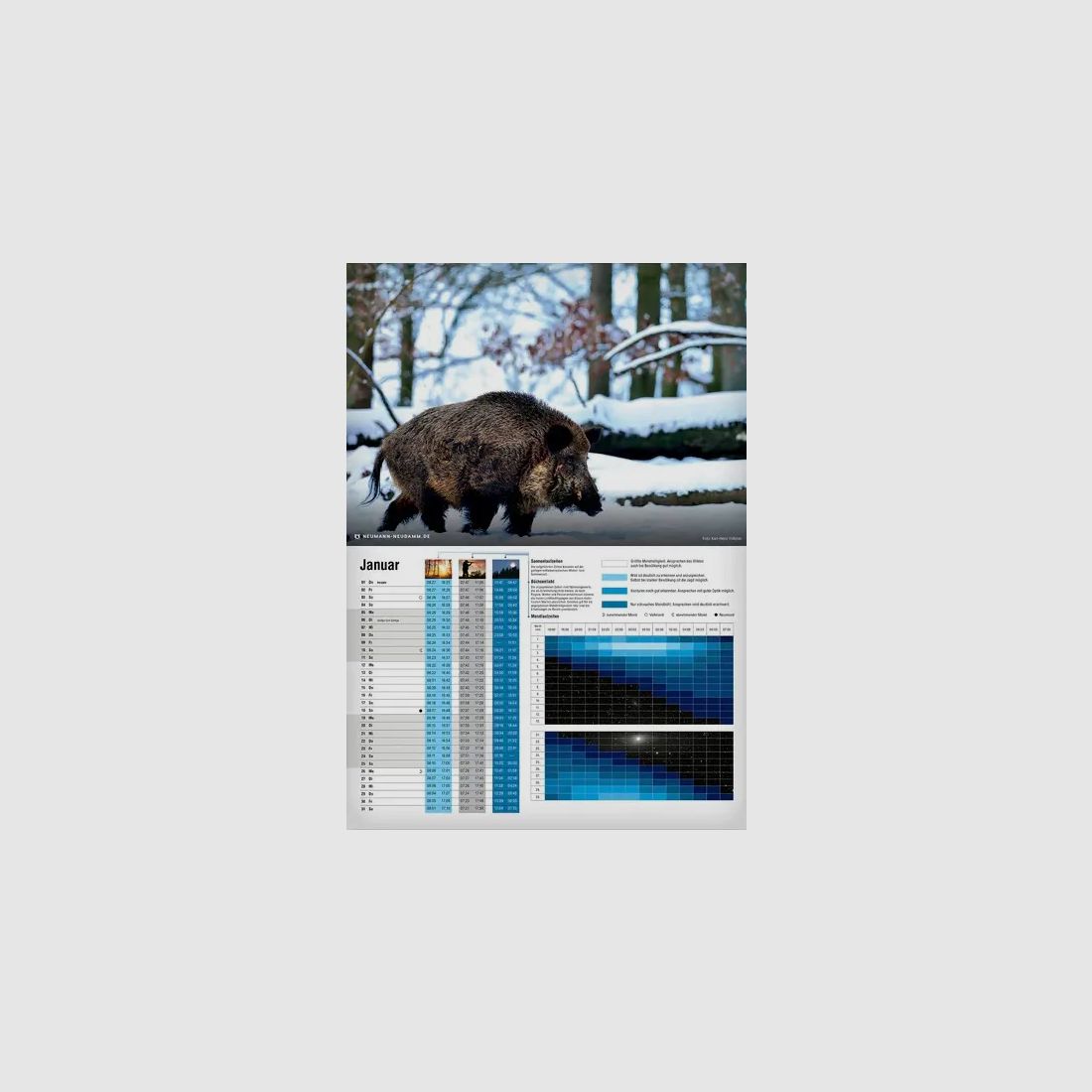 Calendar Saumond 2026