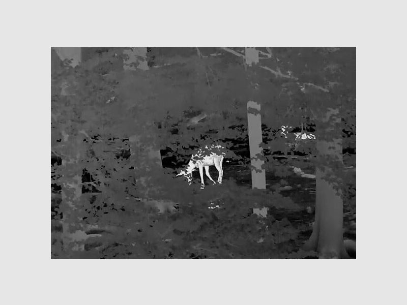 Dispositivo di imaging termico ClipOn InfiRay MATE MAH50 escl. adattatore, immagine 4 di 8
