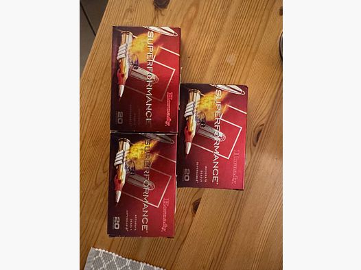 .30-06 SPRG Hornady SST 180gr.