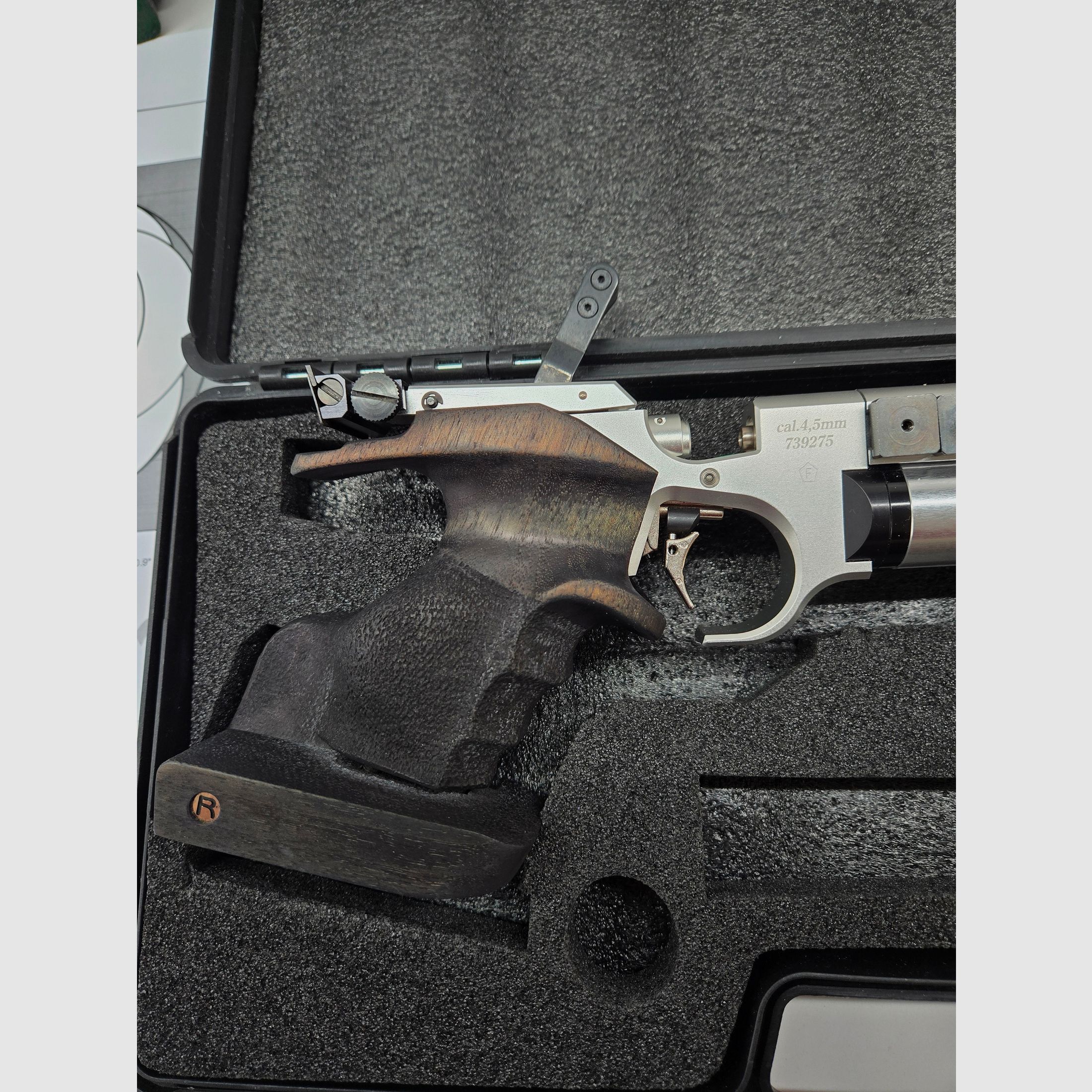 Steyr LP 10 with Rink grip