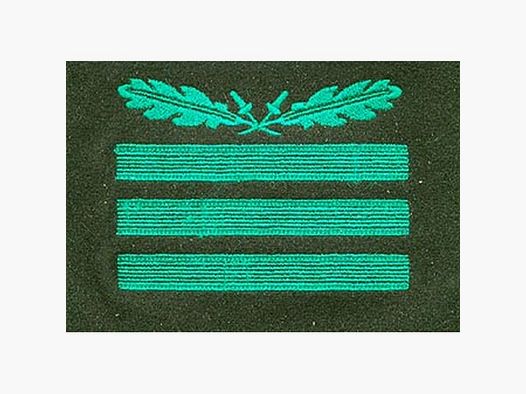 Dienstgradabz. f. Sonderbekl. Hauptsturmf./Hauptmann