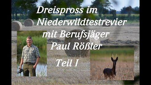 Im Niederwildtestrevier mit Berufsjäger Paul Rößler Teil 1