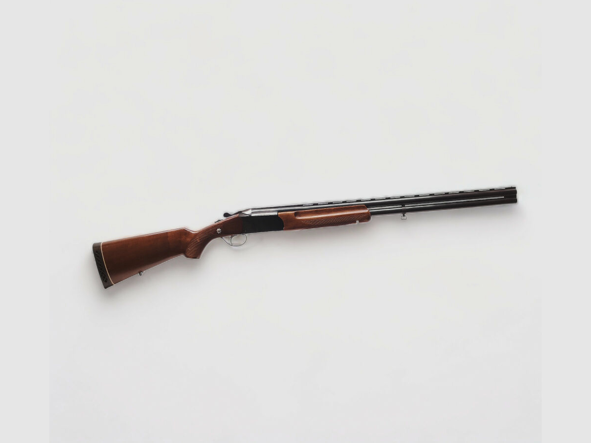 Hubertus Boito Brasil