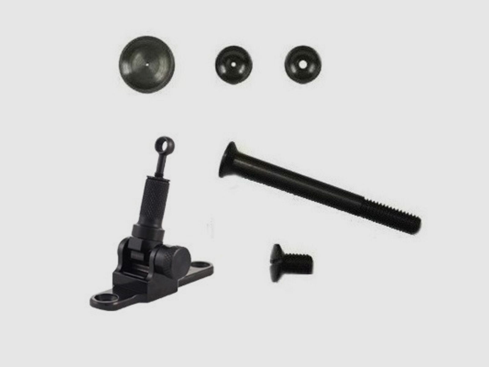 Ensemble de dioptres Marble Arms Win+Brow 1886 Japon