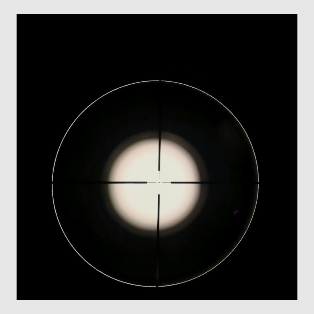 ZBROJOVKA BRNO CZ 537 with Walther PRS 3-12x56