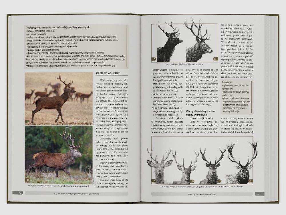 Game Selection Handbook – D. ZALEWSKI, image 5 of 6