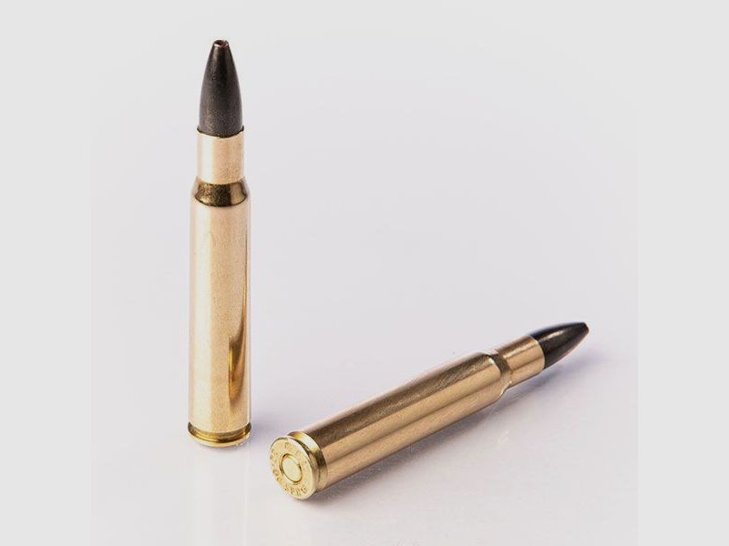 FIOCCHI SE 180GR KALIBER 30-06 SPRG