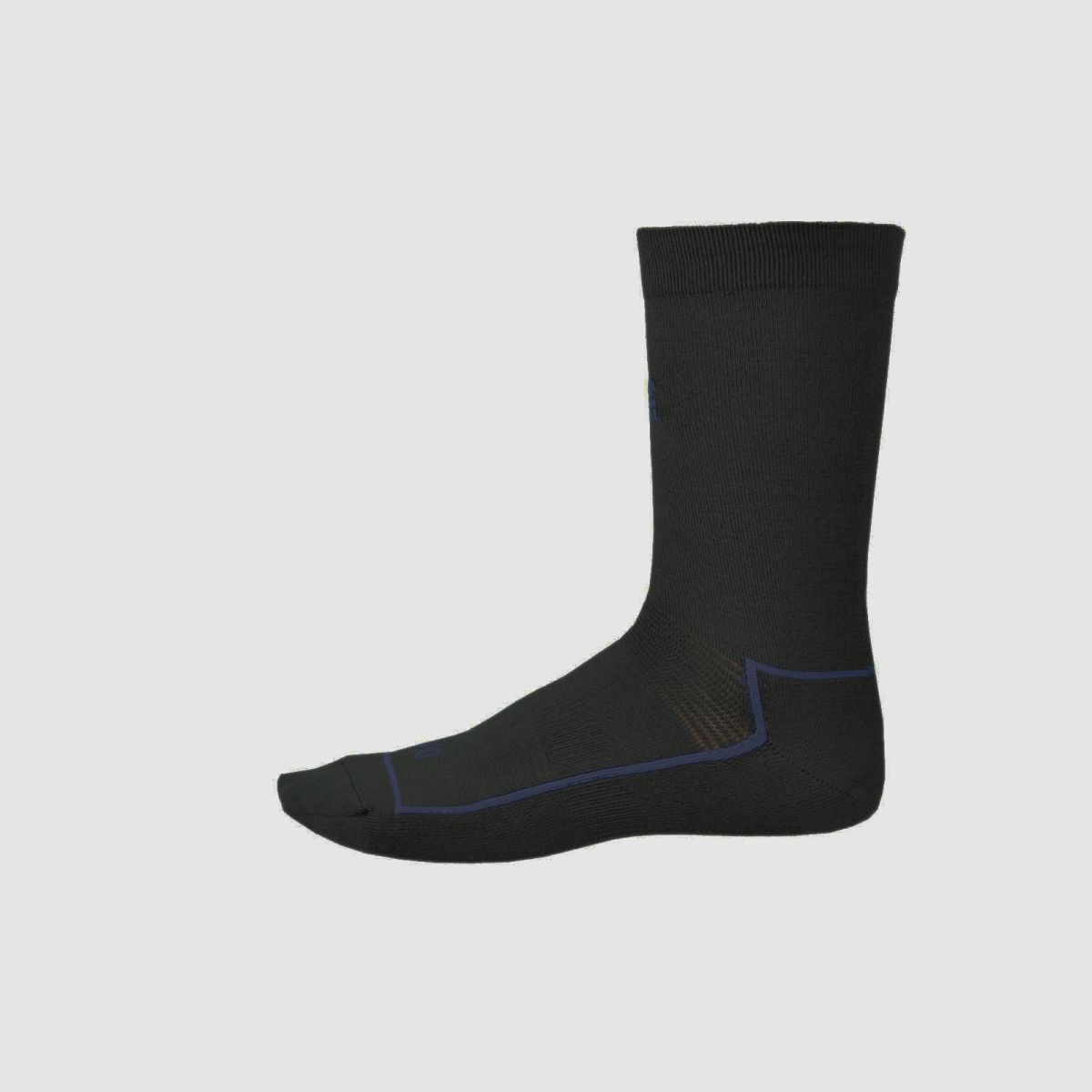 THERMO FUNCTION TS 100 Unterziehsocke Schwarz