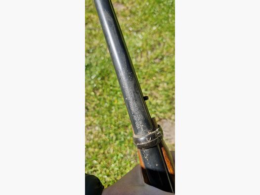 Luftgewehr Daisy 1894