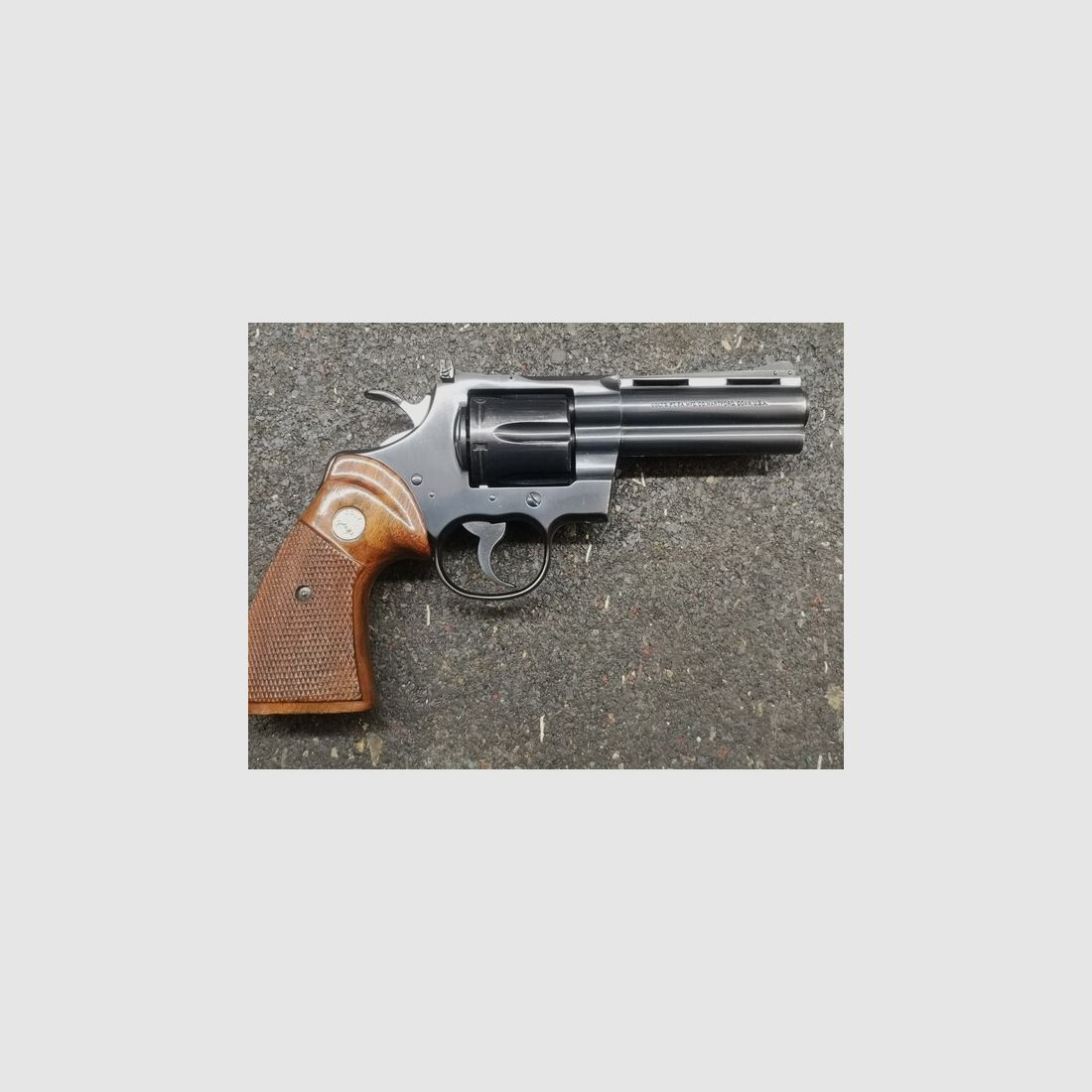 Colt Python