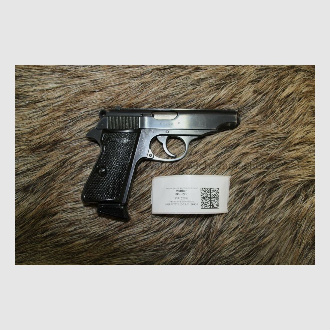 Walther PP .22lr