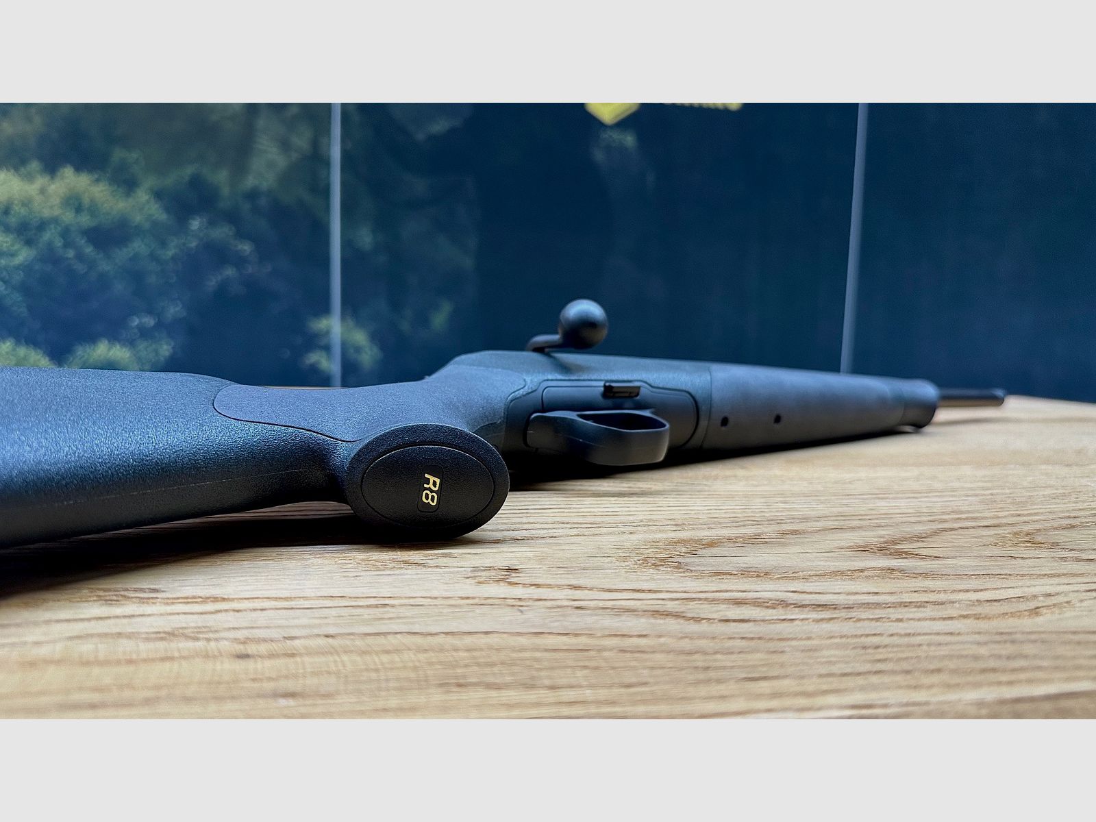 Blaser R8 Professionale Verde / Calcio accorciato / inclusa accorciatura della canna / M15x1 / Calibro standard a scelta