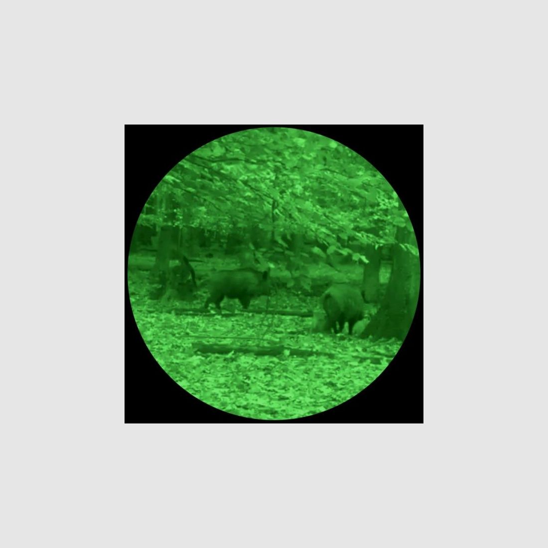 Lahoux Optics Nachtsichtgerät Hemera Standard+ Dual-Use-Vorsatzgerät