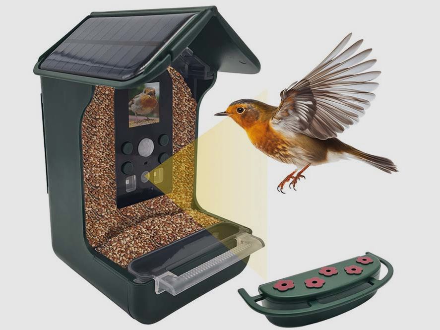 Bird feeder with camera and solar panel