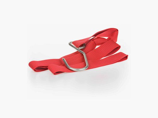 Wild recovery aid Hog