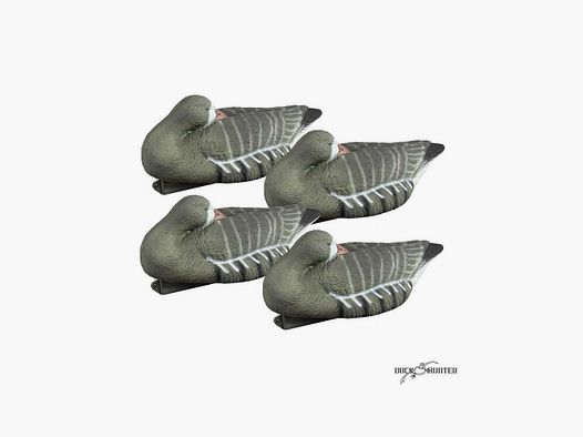 Forme Gans rieuse schlafend x4