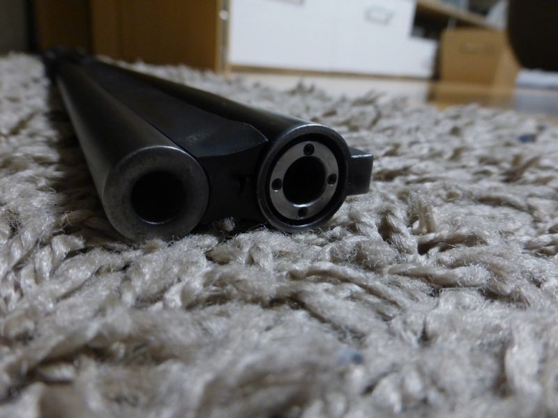 Blaser B95 Bergstutzen