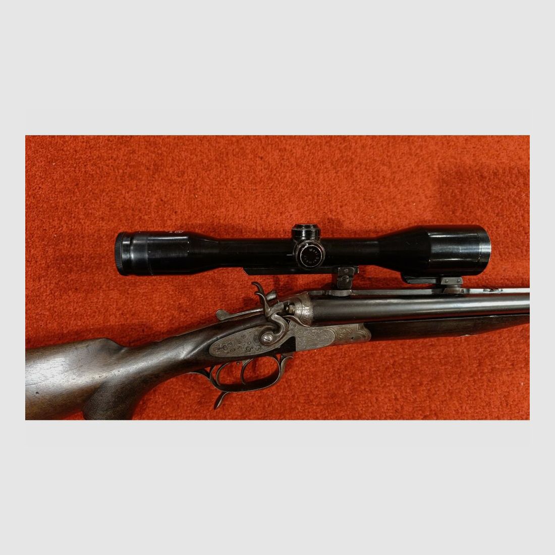 Placa sin 5,6x50R Mag;16/70, imagen 7 de 7