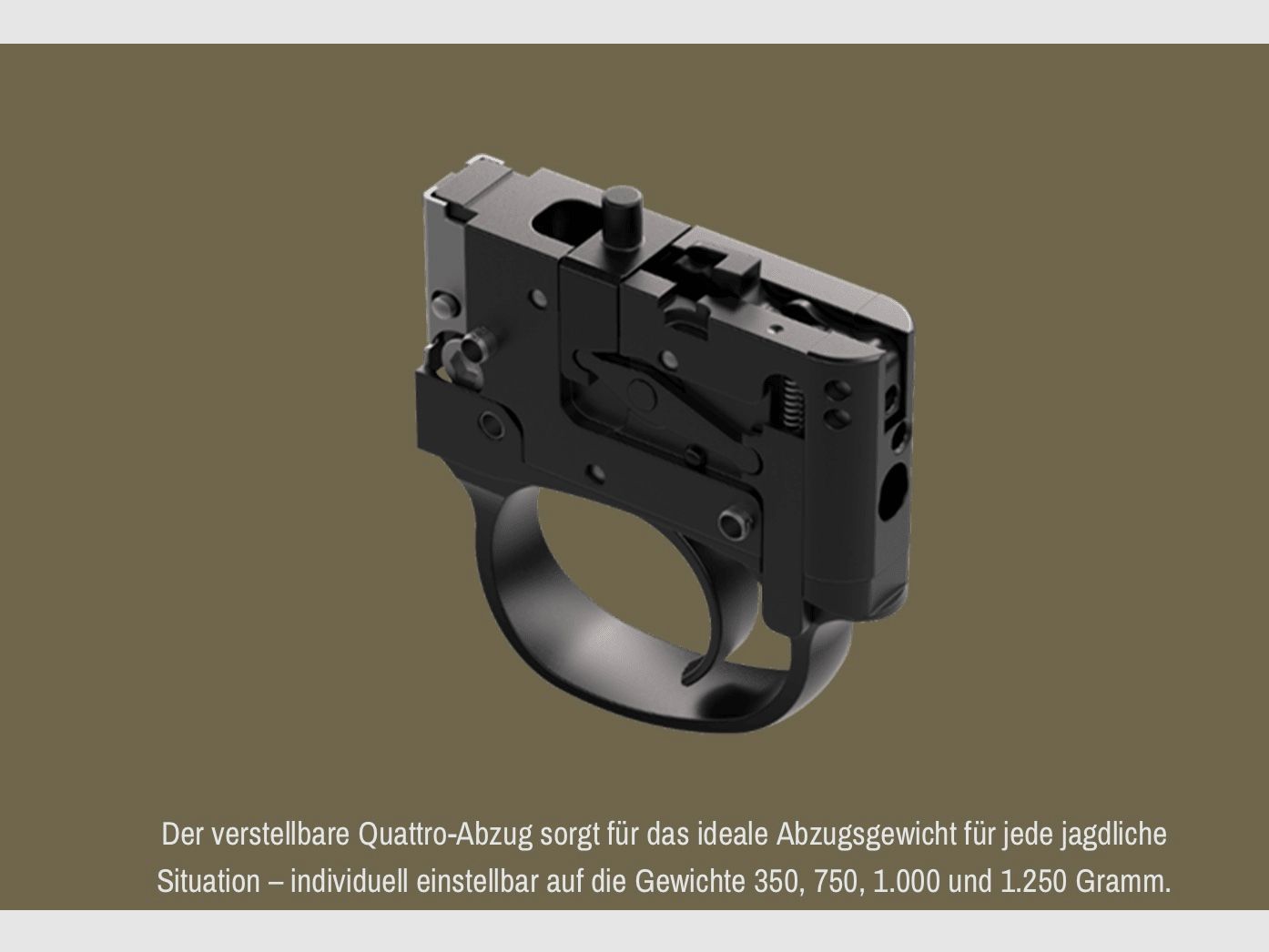 J.P. Sauer & Sohn 505 verschiedene Modelle und Kaliber