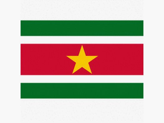 Flagge von Suriname