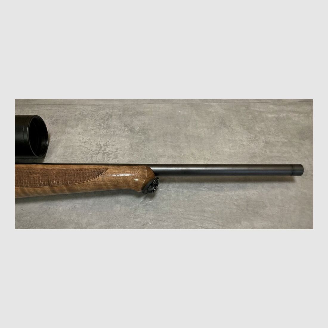 J. P. Sauer & Sohn	 101 Artemis Ausführung Elegance