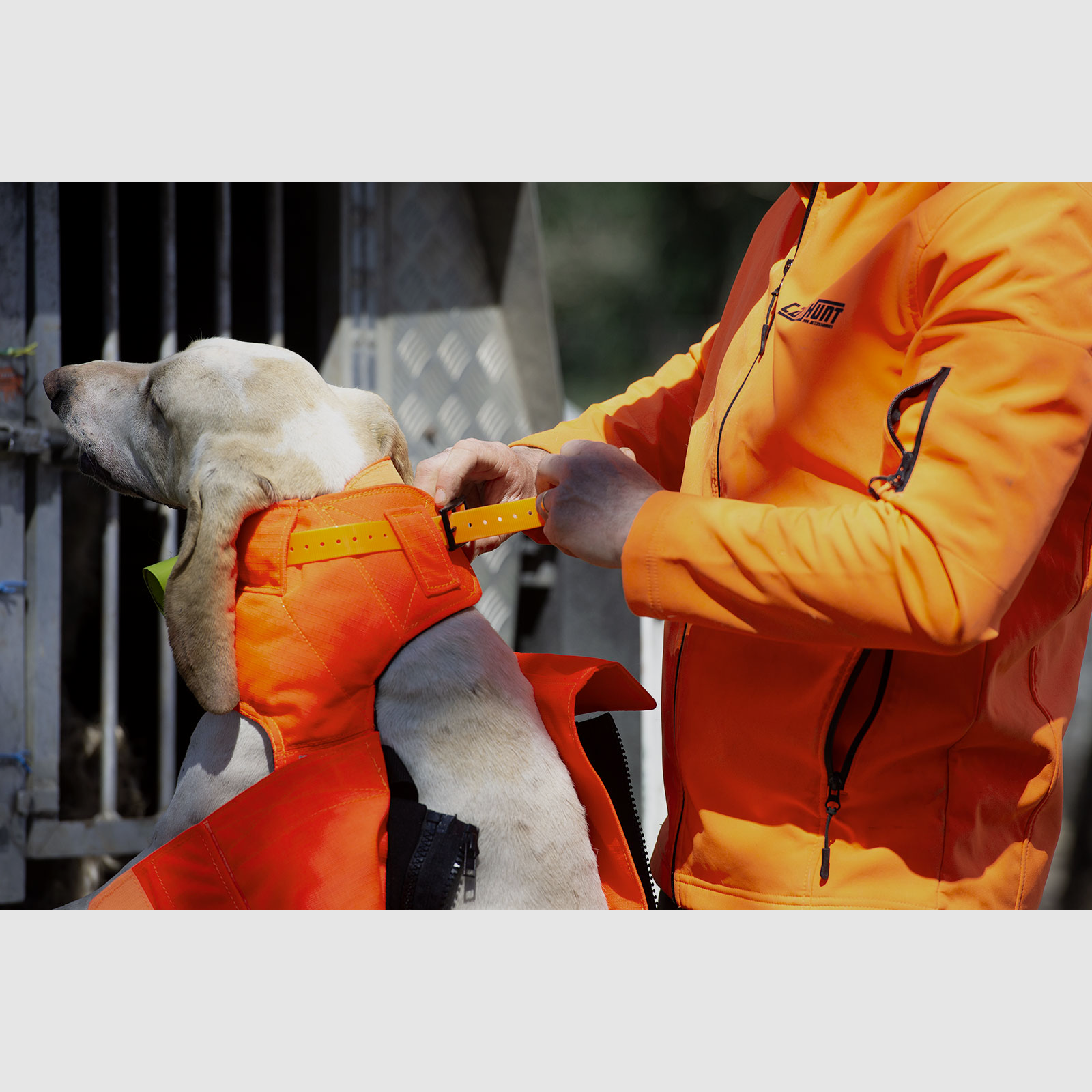 Gilet CaniHunt Protect Pro L'Original, immagine 4 di 7