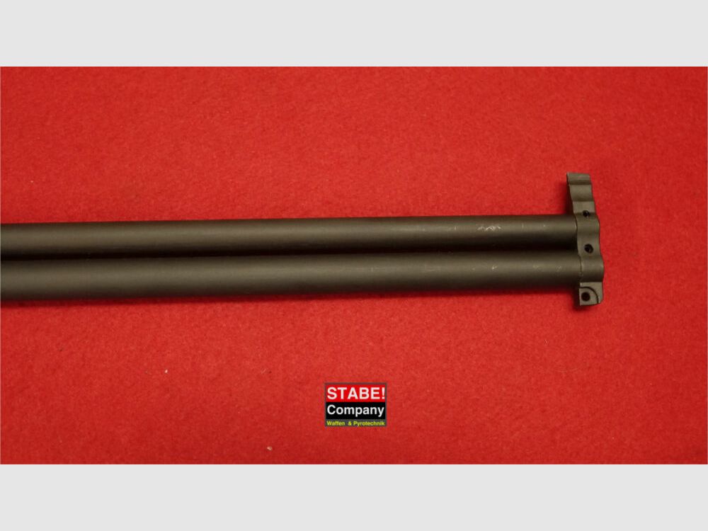 Springfield / CZ Scout M 6