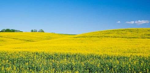 Jagdzeiten Mecklenburg-Vorpommern