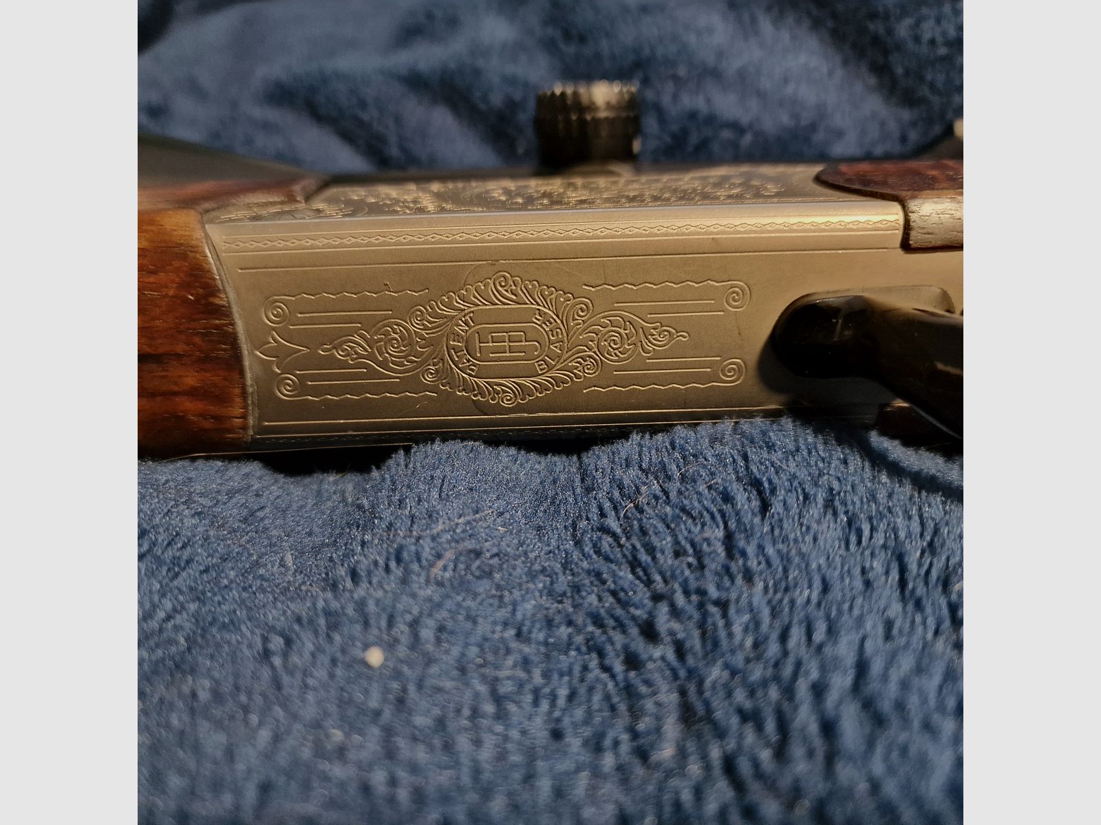 Bergstutzen Blaser B75 7x65R .22 Hornet Zeiss Diavari 3-12x56 