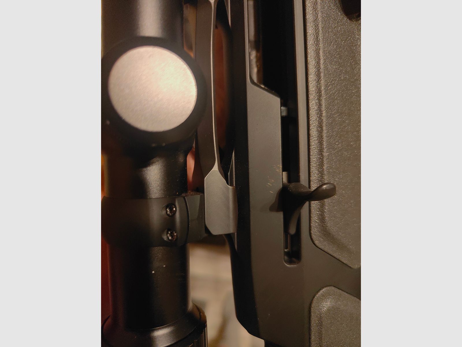 Sauer 303