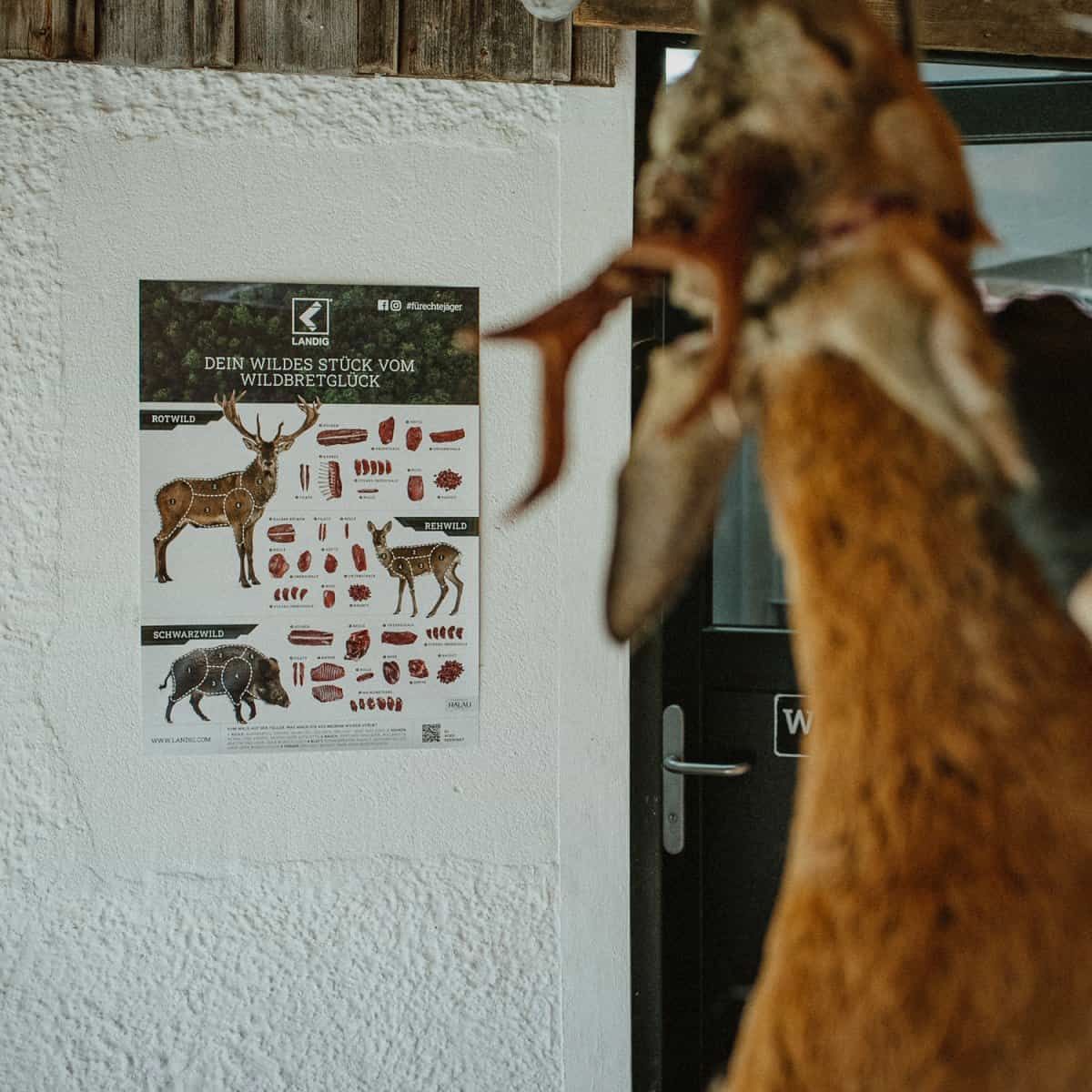 Landig Wildbretposter, Bild 2 von 2