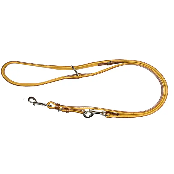 Country Leather Training Leash for Dog