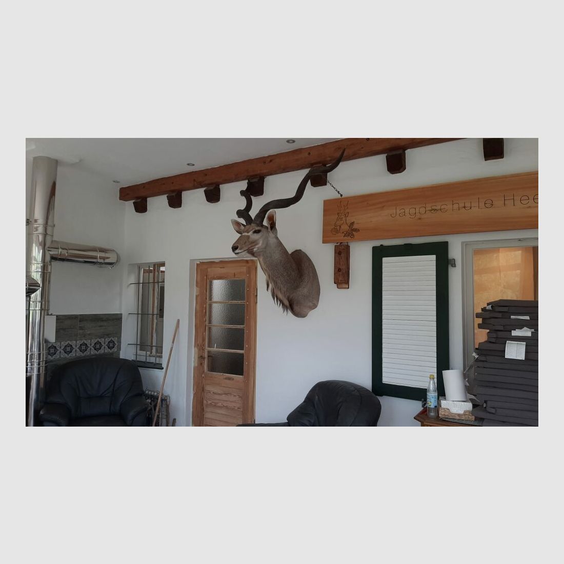 Kudu trofee Afrika beursstand decoratie preparaat taxidermie