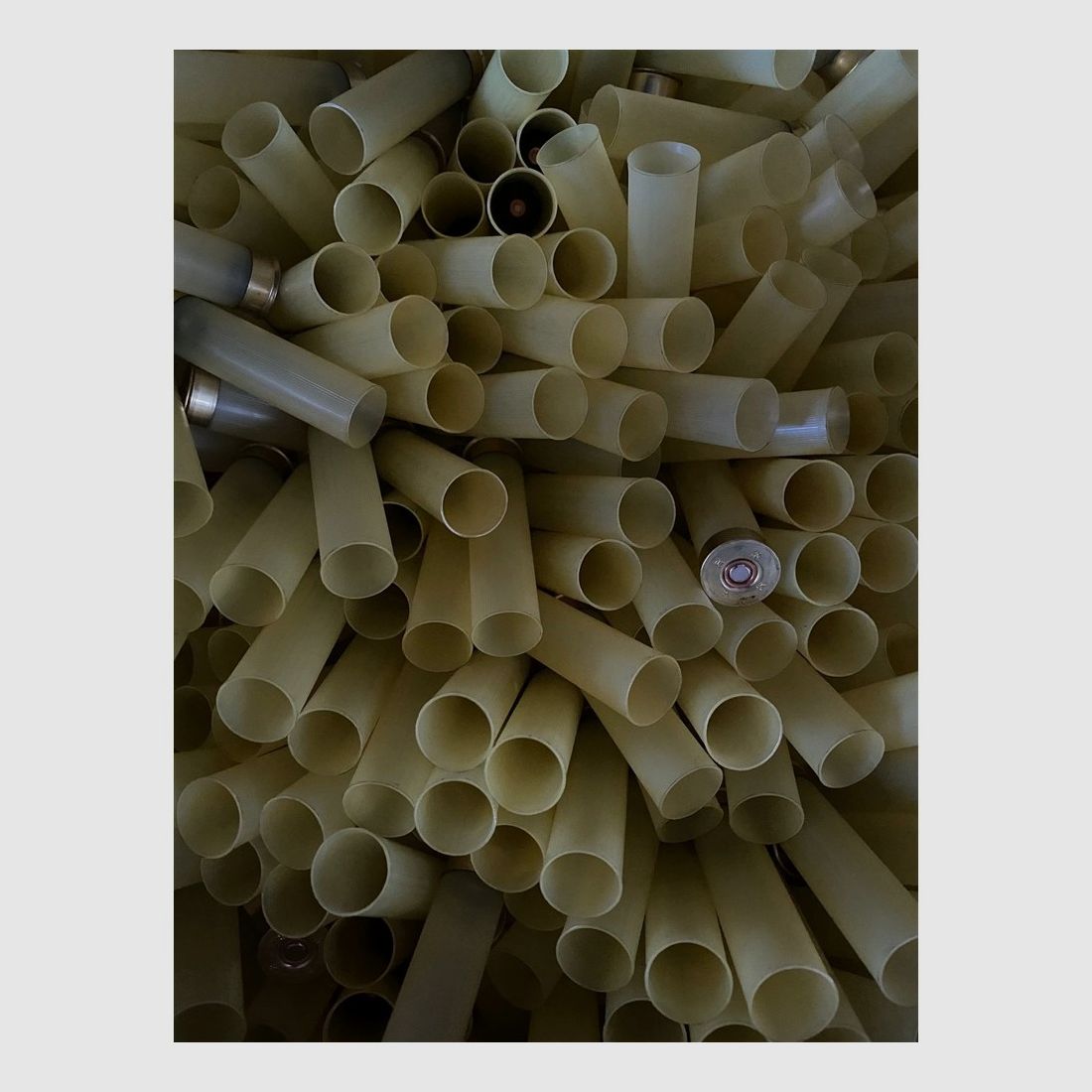 Fiocchi cal.20 t.1 h.70 616, image 1 sur 5