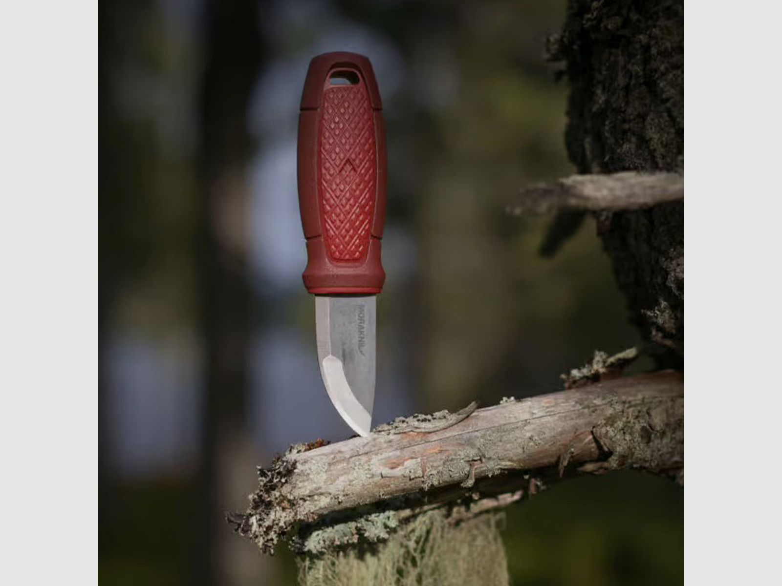 Kompaktmesser Morakniv Eldris mit Gürtelöse (S) aus Edelstahl 12C27, Bild 15 von 20