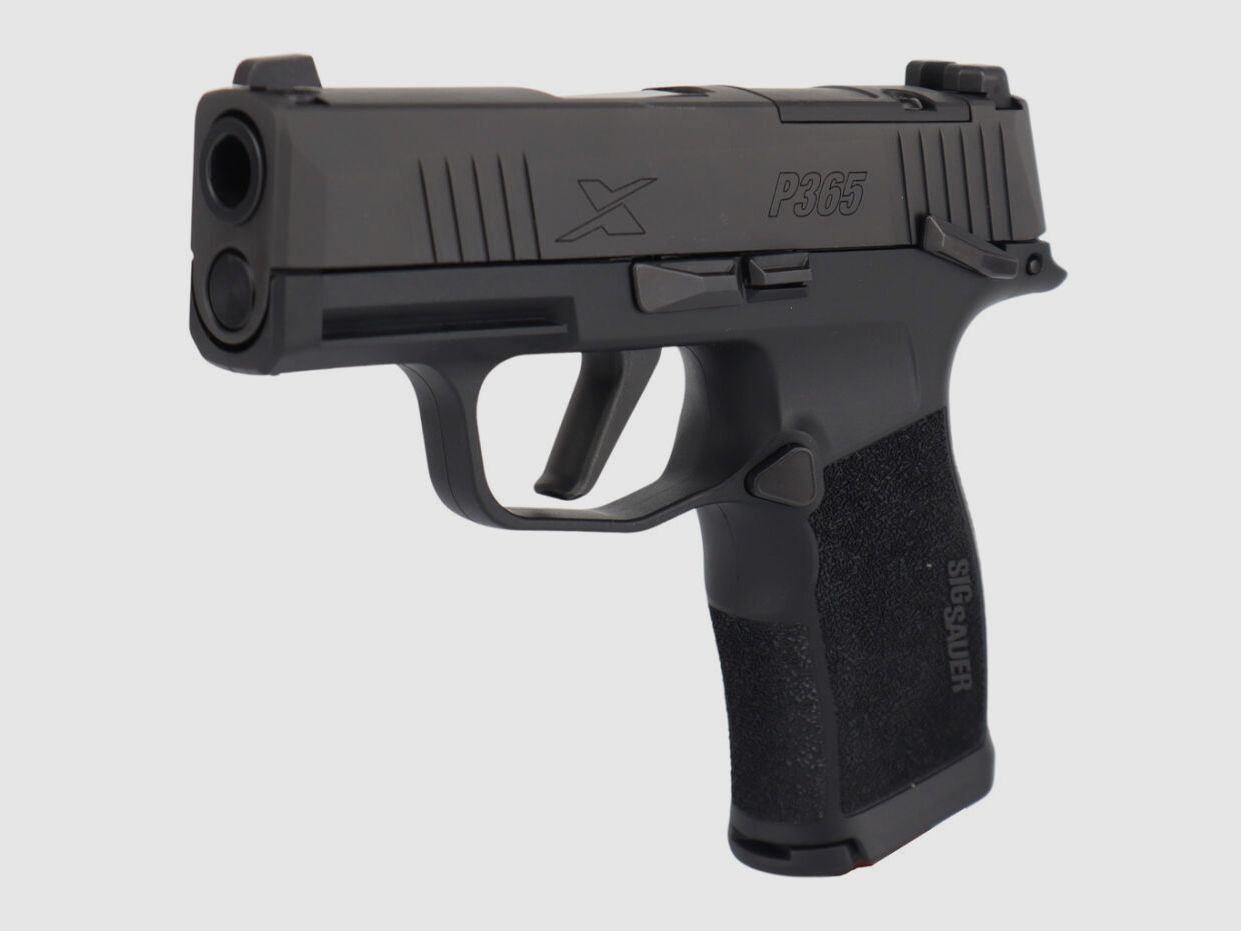 Sig Sauer P365X MS, immagine 5 di 10
