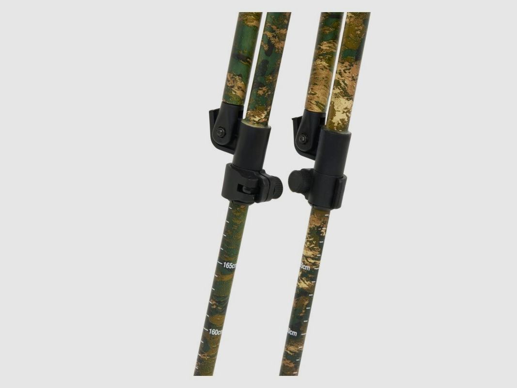 Seeland Zielstock InVis