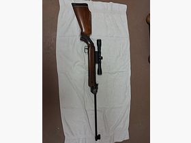 DIANA Mod. 35